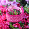 Miękka i elegancka obroża premium dla whippeta, wykonana z wysokiej jakości weluru, z kwiatowym haftem w kolorze różowym, pasek to oryginalny Biothane.