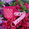Miękka i elegancka obroża premium dla charta, wykonana z wysokiej jakości weluru, z kwiatowym haftem w kolorze różowym, pasek to oryginalny Biothane.