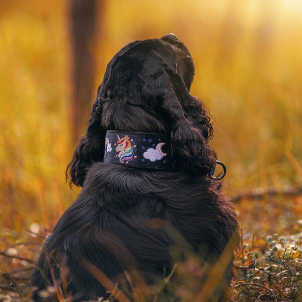 Miękka i elegancka obroża premium dla psa, wykonana z wysokiej jakości weluru, z pięknym haftem, pasek to oryginalny Biothane.