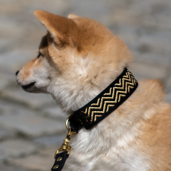 Miękka i elegancka obroża premium dla psa, wykonana z wysokiej jakości weluru, ze złotym nowoczesnym haftem, pasek to oryginalny Biothane.