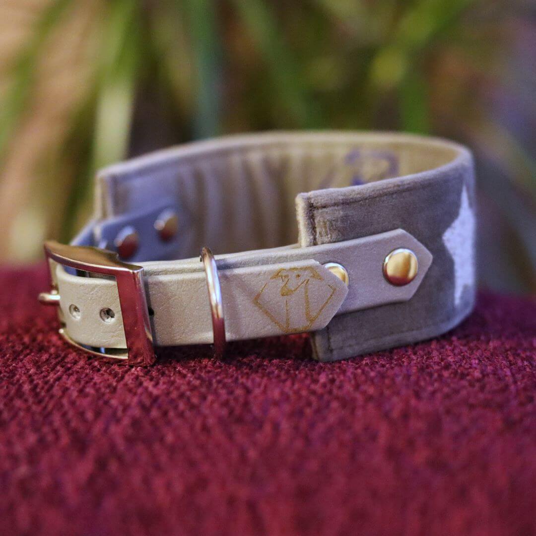 Obroża z wyhaftowanym świątecznym motywem