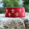 Miękka i elegancka obroża premium dla psa, wykonana z wysokiej jakości weluru, ze złotym haftem fleur-de-lis, pasek to oryginalny Biothane.