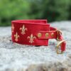 Miękka i elegancka obroża premium dla psa, wykonana z wysokiej jakości weluru, ze złotym haftem fleur-de-lis, pasek to oryginalny Biothane.