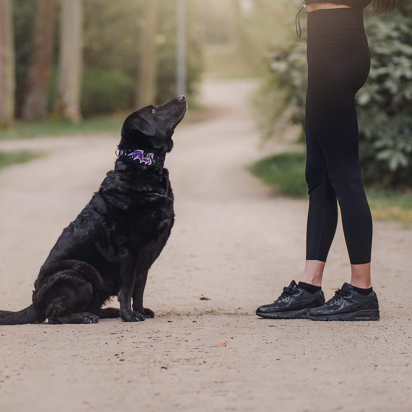 Obroża dla psa na lato z wyhaftowanym motywem smoków