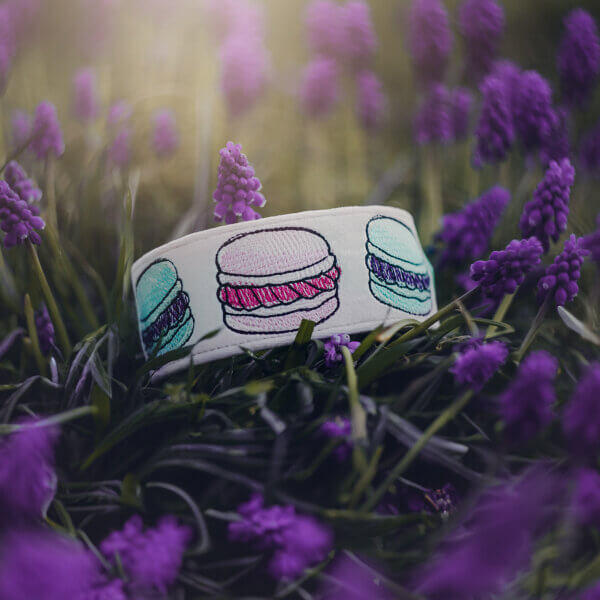 Haftowana welurowa obroża dla psa z motywem francuskich makaroników