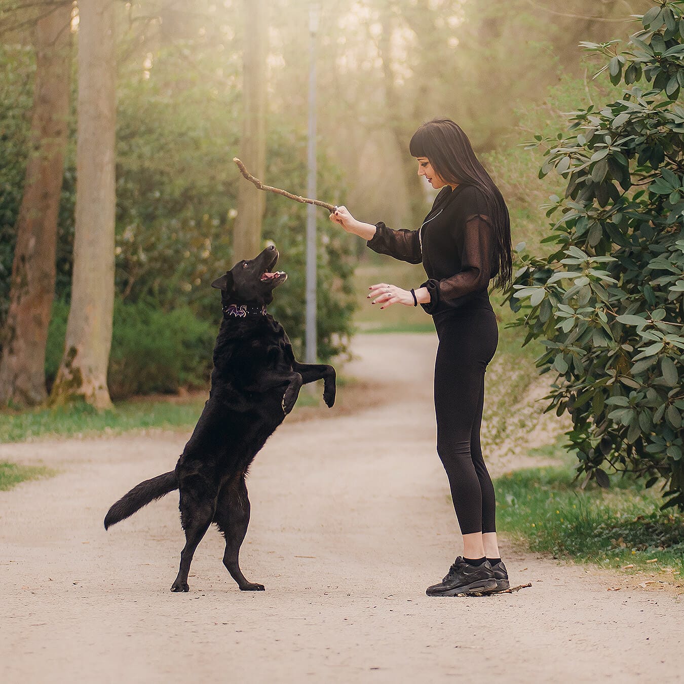 Obroża dla psa na lato z wyhaftowanym motywem smoków