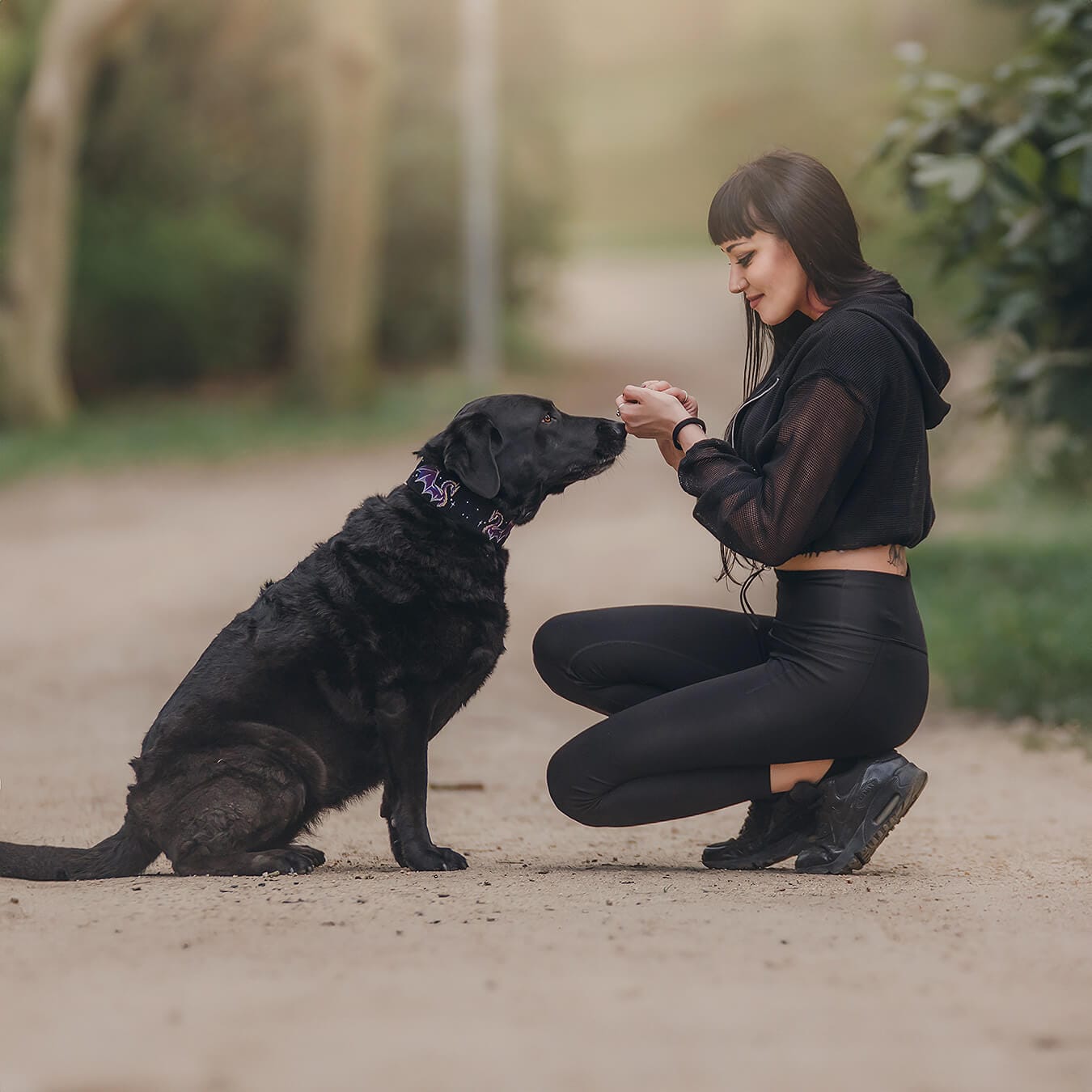 Obroża dla psa na lato z wyhaftowanym motywem smoków