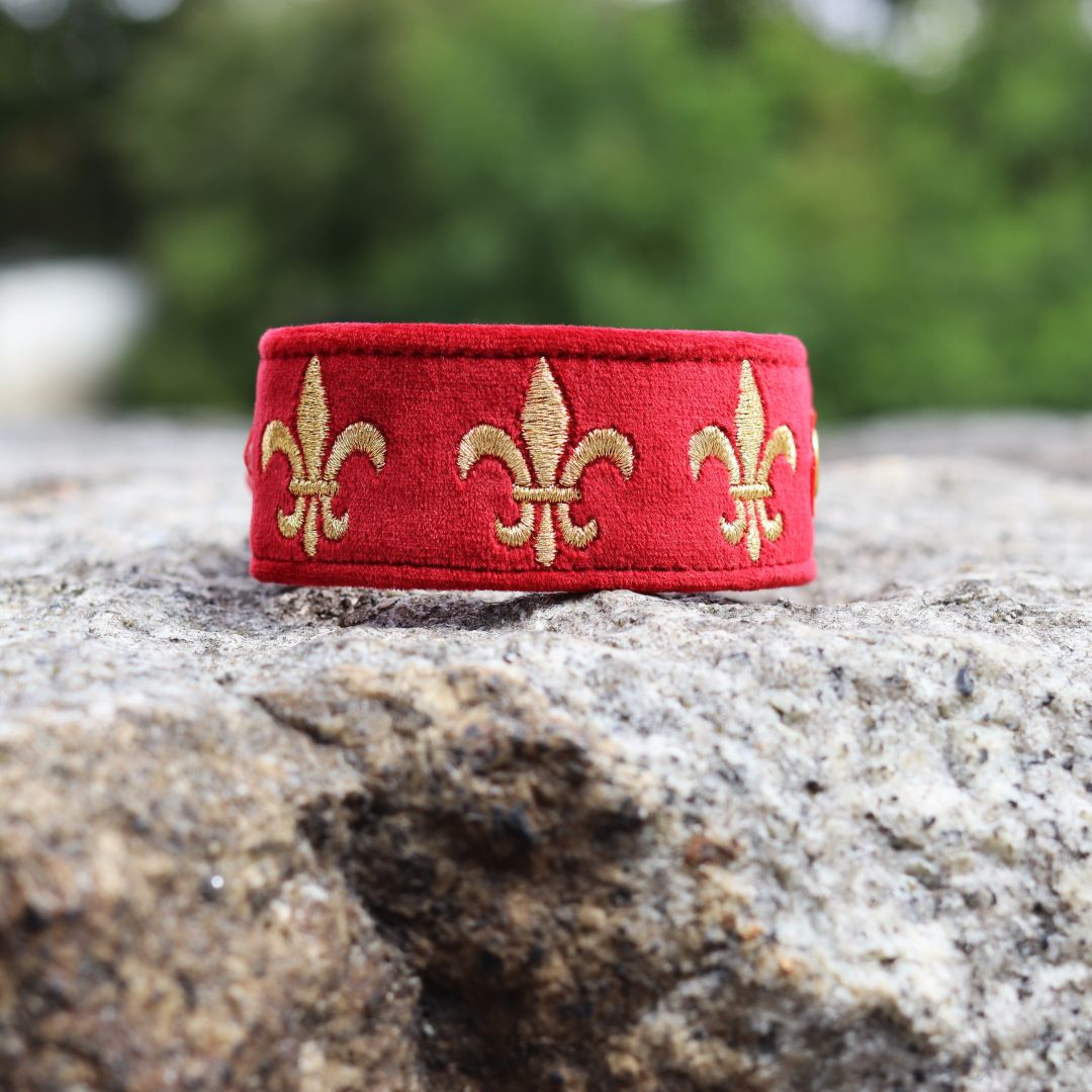 Miękka i elegancka obroża premium dla psa, wykonana z wysokiej jakości weluru, ze złotym haftem fleur-de-lis, pasek to oryginalny Biothane.